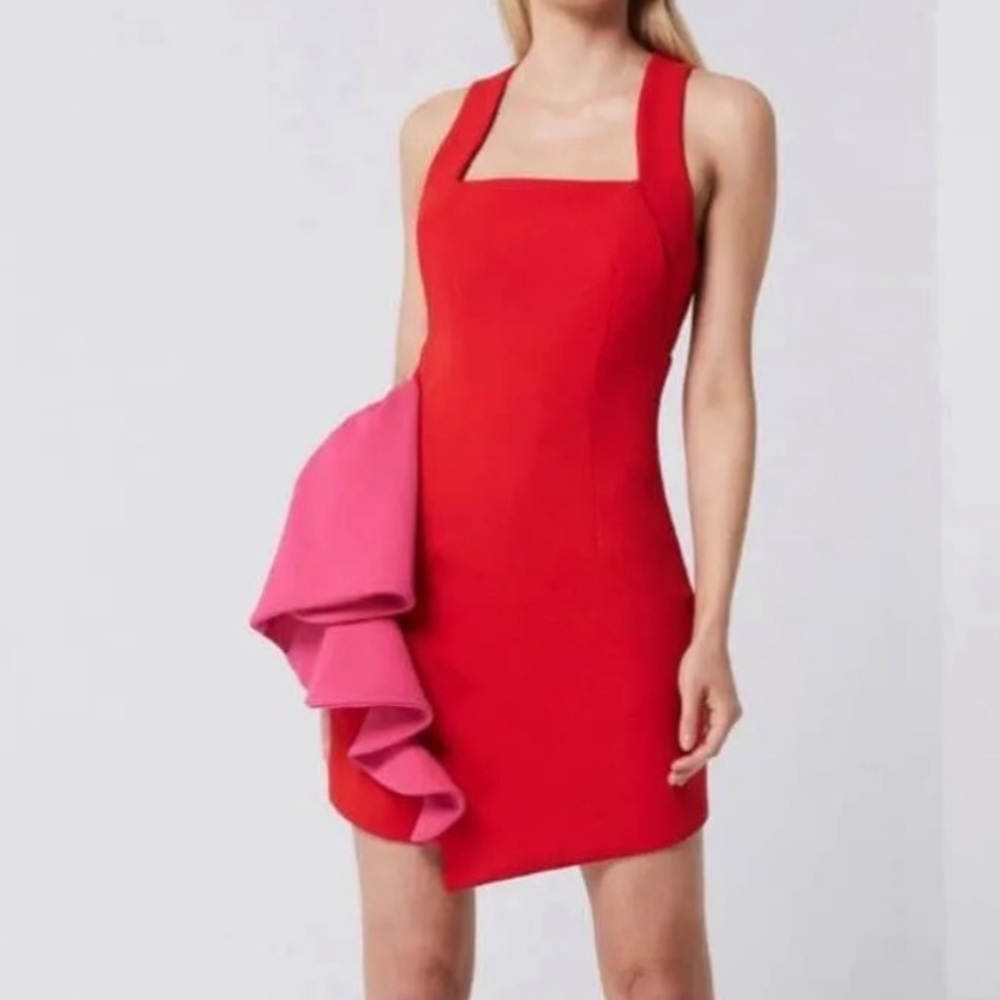 Elliatt Paparazzi Dress ❤️🩷